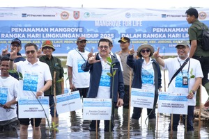 freeport-dan-klh-percepat-program-nasional-rehabilitasi-mangrove-di-kalsel